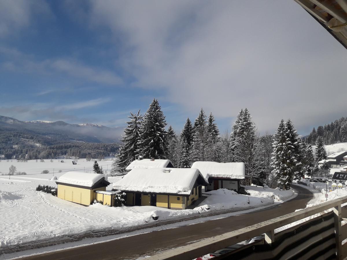 Happy Stay Apartment Bad Mitterndorf Exteriér fotografie